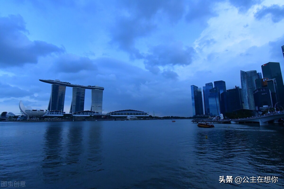 新加坡7个冷知识英文,世界上养猫最多的国家