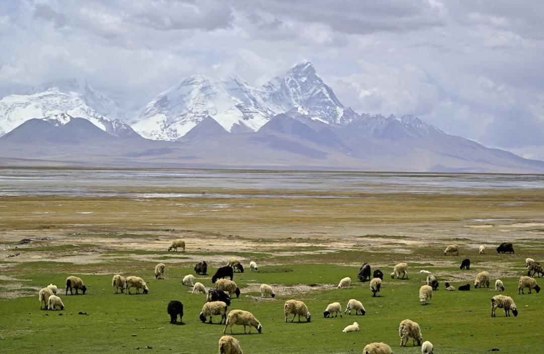 7月24日|浓浓援藏情，沪藏一家亲珠穆朗玛峰、扎什伦布寺9日“上海-日喀则”援藏旅游包机活动