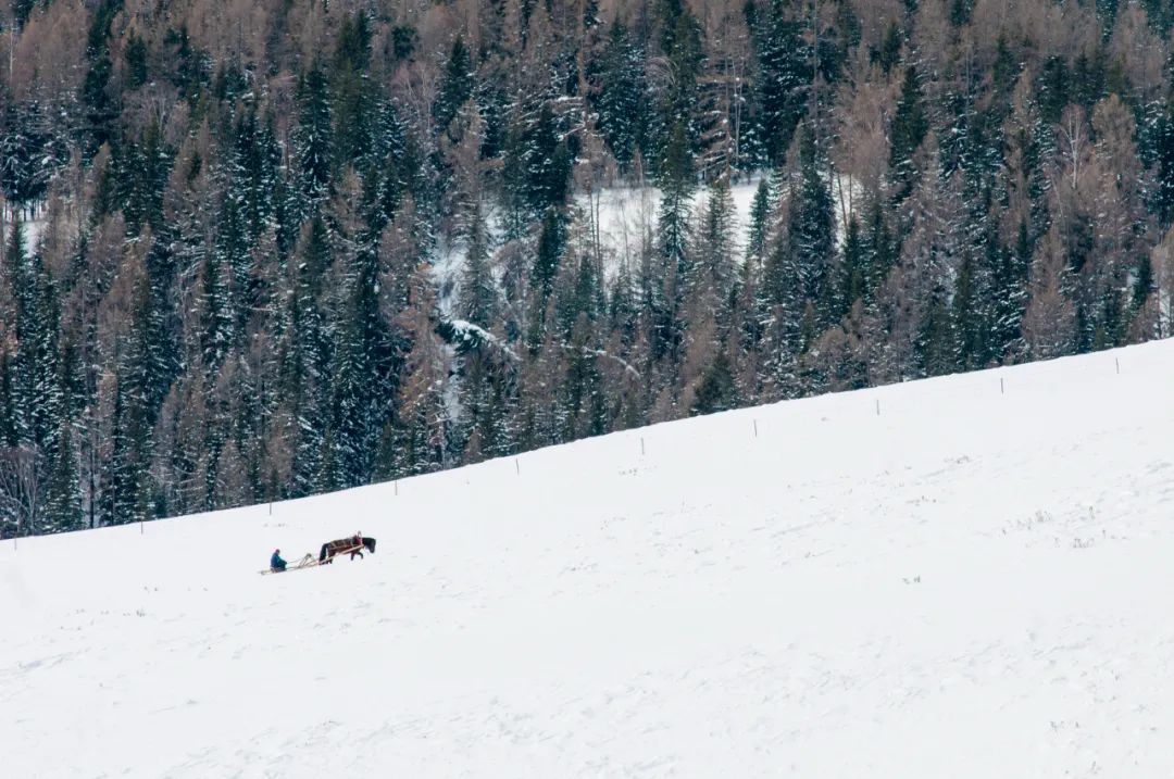 对的时间去对的地方,对的时间和对的人一起旅游