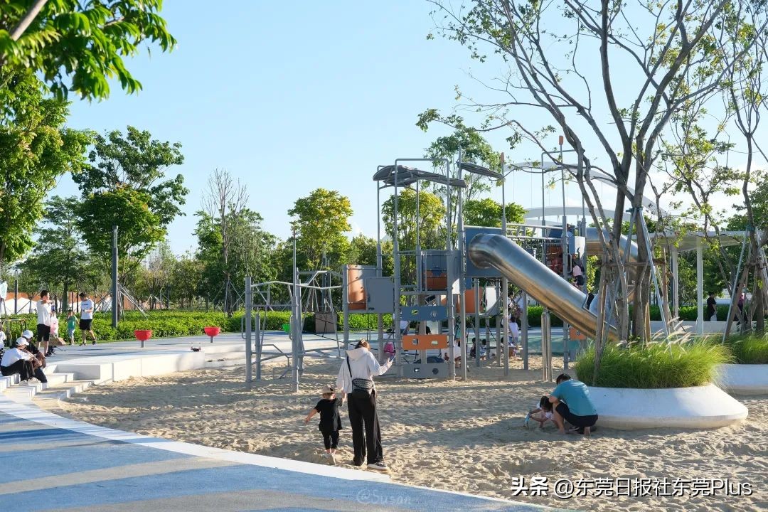 东莞可以看海和赏花的公园,东莞国庆看海游玩推荐