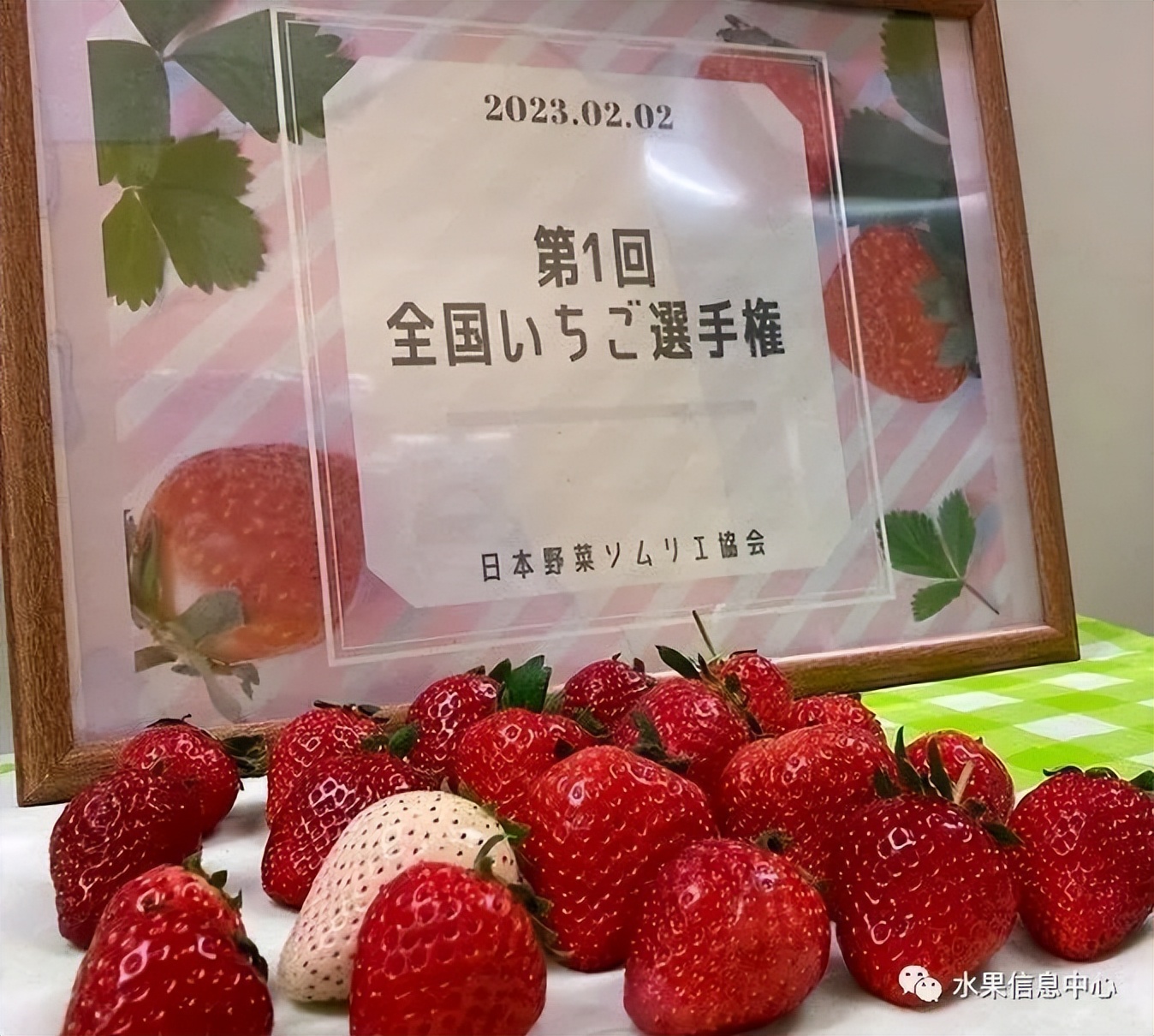 日本草莓评选大赛,排名第一的草莓品种是什么?
