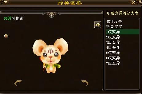 天龙八部手游国际服龙宝宝,天龙八部唐装鼠宝宝怎么获得