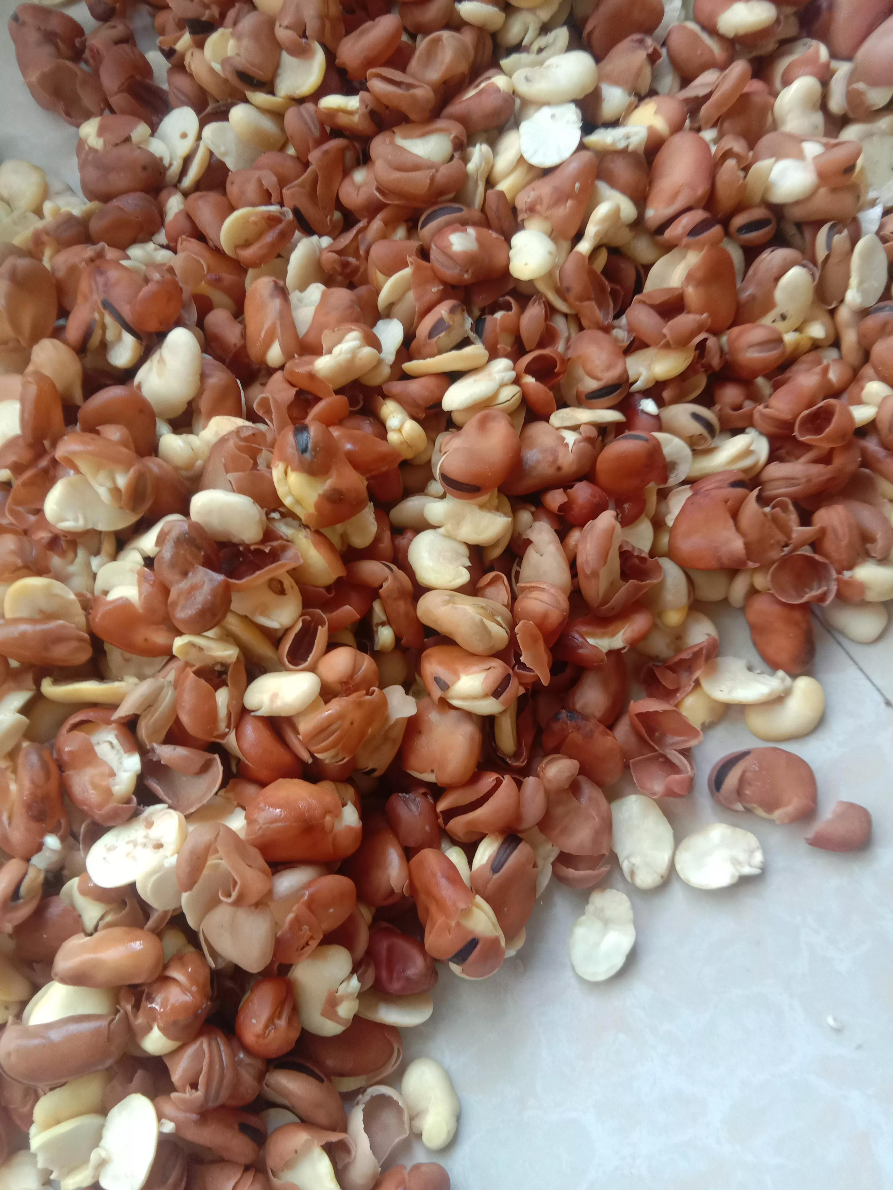 豆瓣酱中的绿霉，是黄曲霉毒素吗？