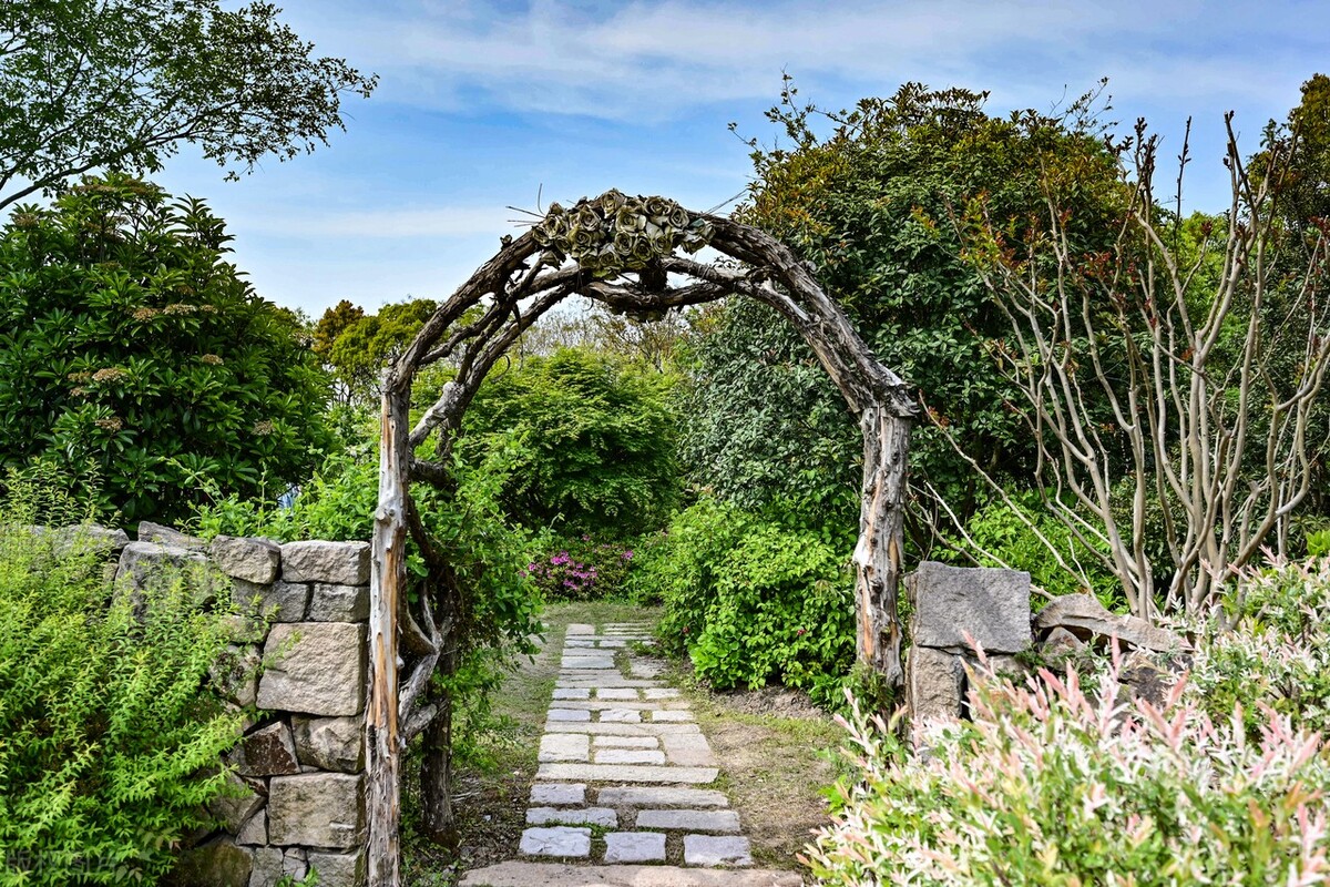 上海踏青2022,上海踏青最佳景点2021