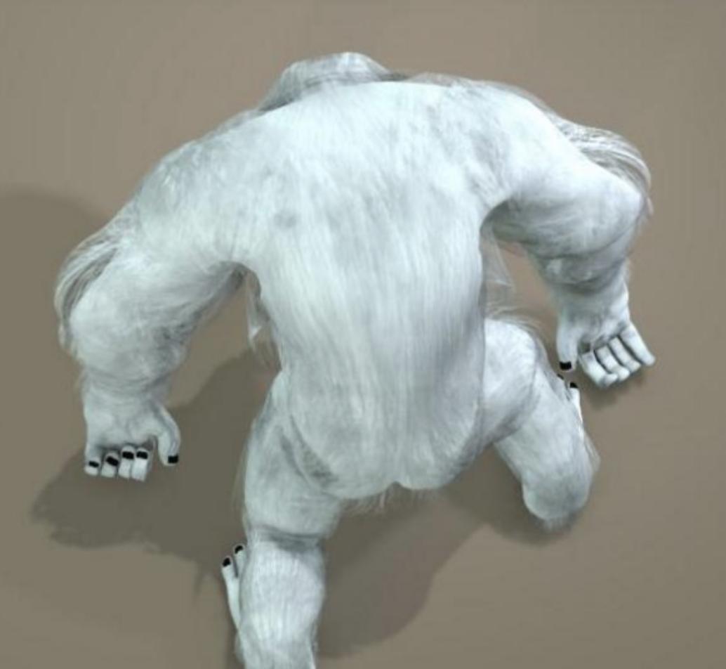 *藏西**十大未解之谜