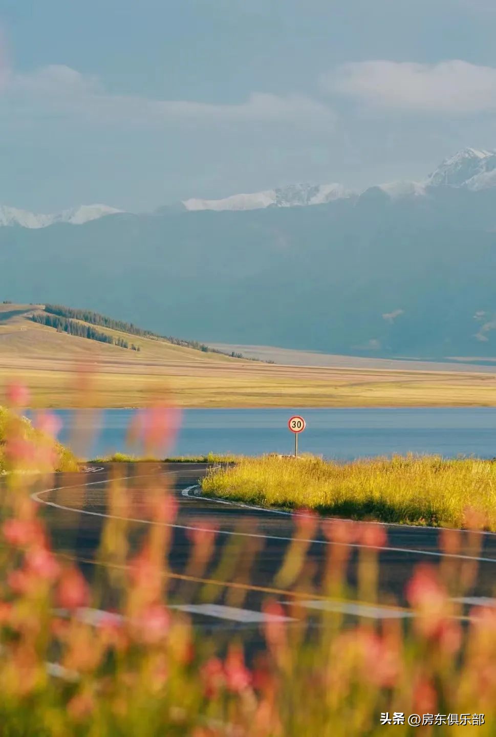 发现没？活过这3年的郑州老板，都不再装B了！