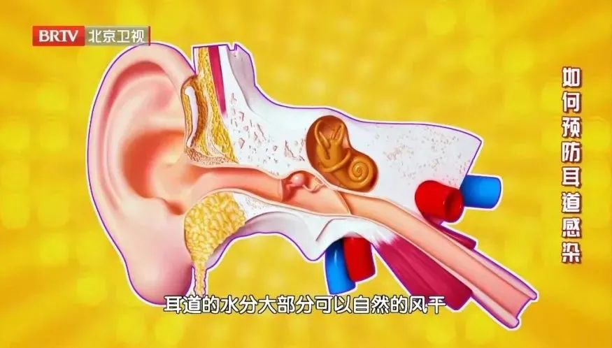 我国神经性耳鸣发病率,我国耳鸣患者已超1亿