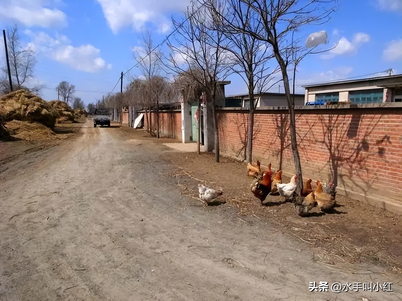 风语者scx,风语者后续