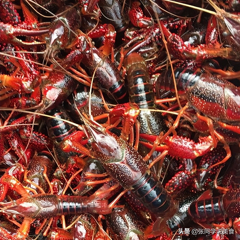 小龙虾怎么烧出又辣又麻那么入味,小龙虾怎么做颜色红亮