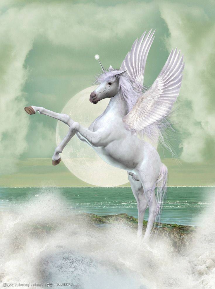 我国发现秦岭神兽,中国深山发现的新神兽