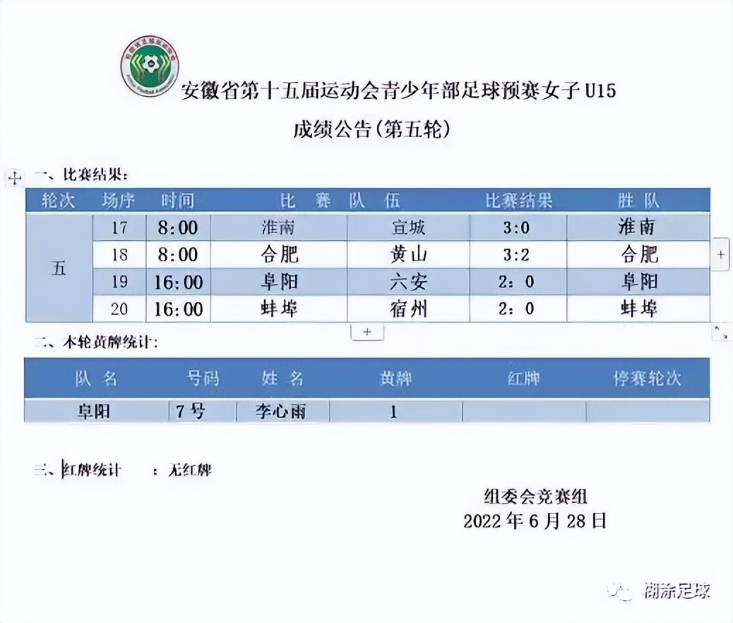 安徽青少年足球锦标赛丙组,安徽省第十五届运动会u15足球