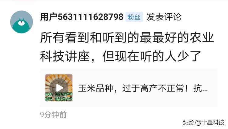 玉米混播高产吗,玉米混播有哪些品种