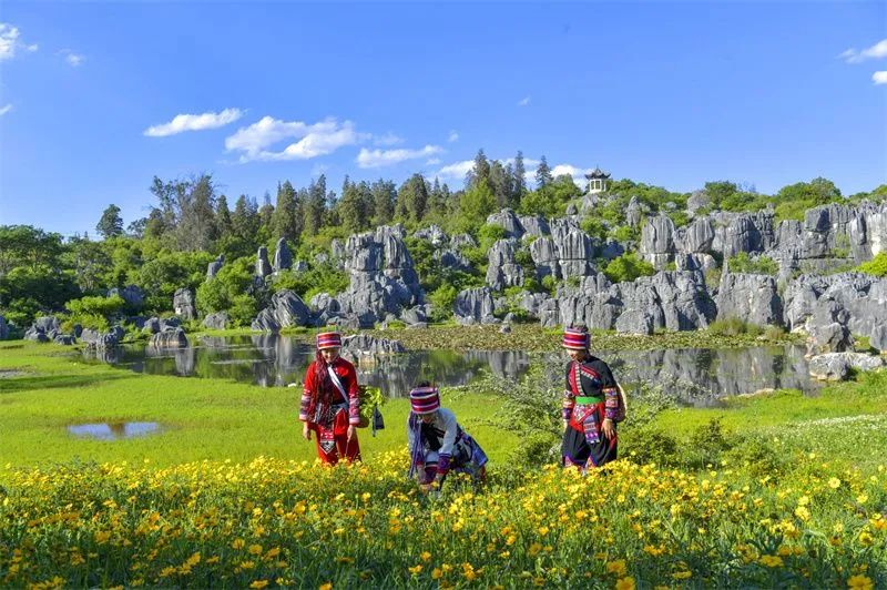 关注|@全国考生来云南这些景区，优惠、免费！