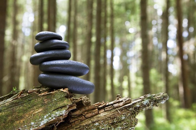 方术与方士小说,方士和方术的记载