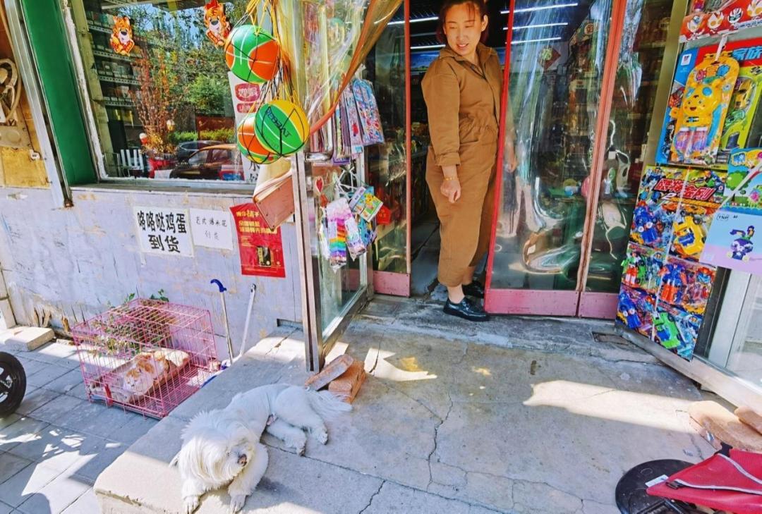 养狗人的视频,养狗人皮肤过敏的症状和表现