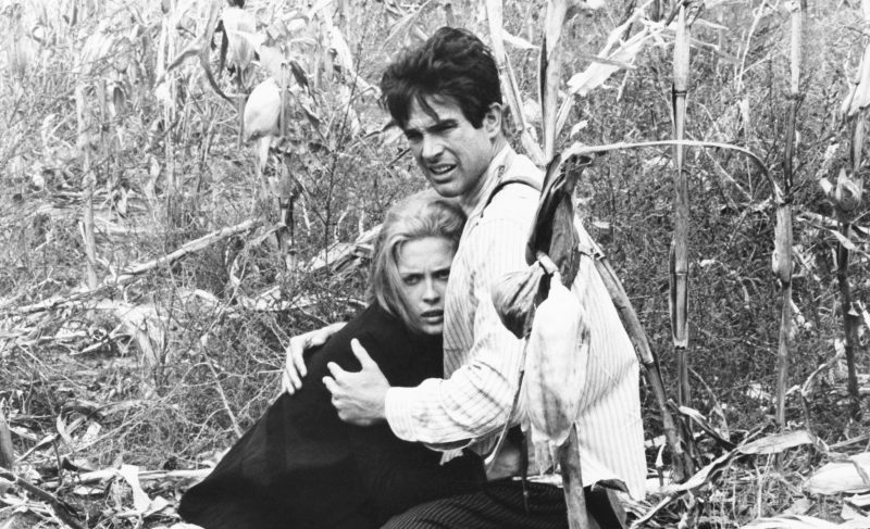 两百五十部最伟大的电影,电影史上最伟大的100部电影