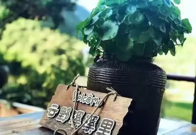 这家藏在千岛湖里的神仙民宿,千岛湖湖之野精品民宿