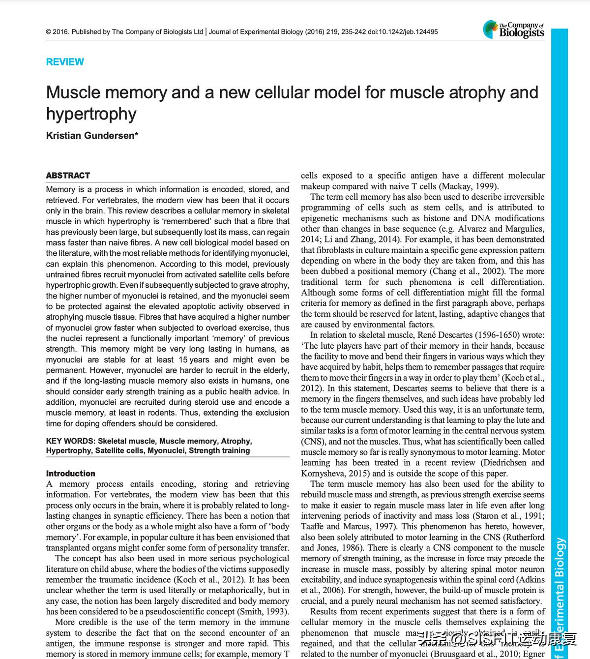 停训如何减少肌肉流失,为什么停训后肌肉围度下降很快