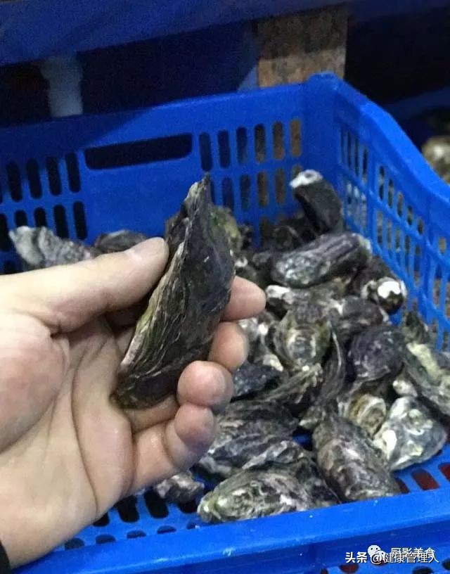 海鲜贝类品种大全及名字,22种海鲜贝类做法大全