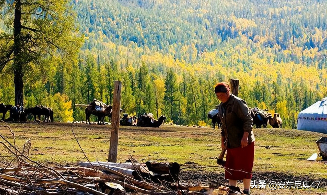 为何唯独黑人没有进化出勤劳的基因呢?原因只有一条
