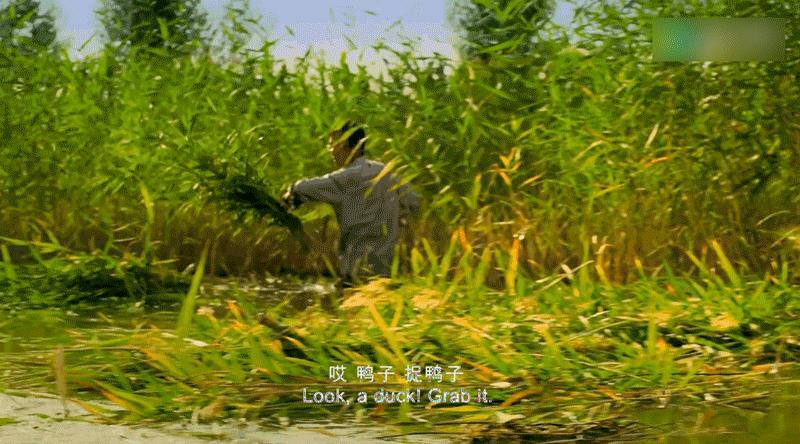 58天，我们见证了一部冷门片的逆袭