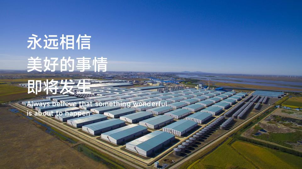 宝妈深陷刷单骗局一天被骗83万,全职妈妈被骗15万后续