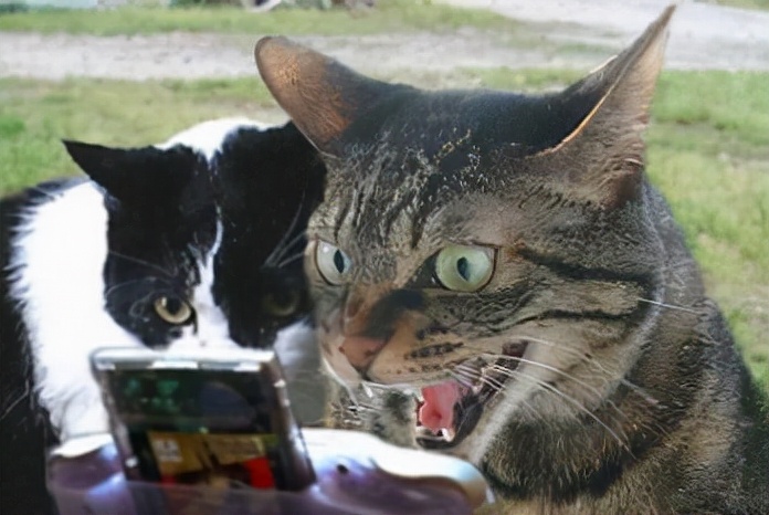 gba任天堂游戏机,任天堂gba经典游戏