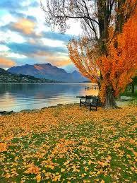 新西兰民众对中国的印象,新西兰的印象