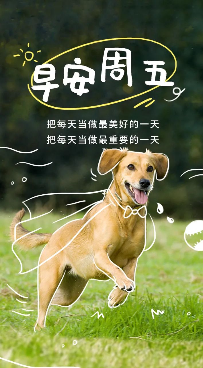 早安心语正能量语录简短句子图片,2020.12.9早安心语正能量走心语录