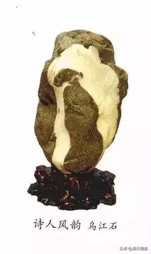 难得一见的仙鹤假奇石,这些难得一见的奇石美醉了