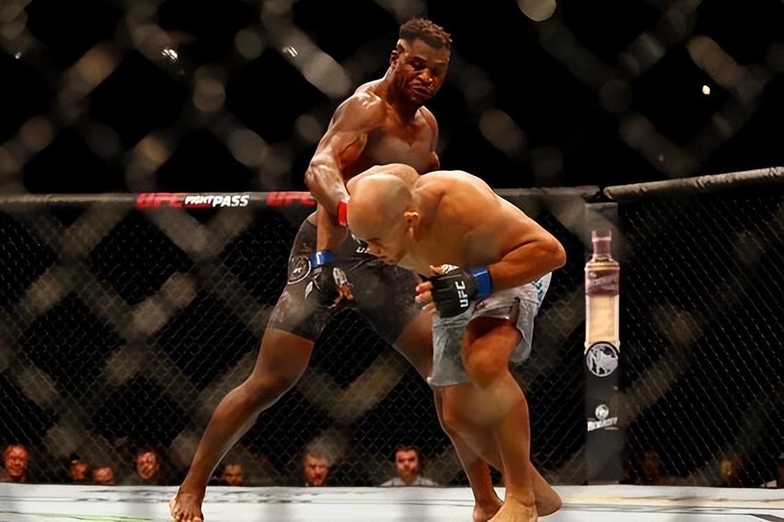 格斗是速度力量与智慧结合体,格斗是什么属性