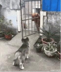 想知道平时的消费在什么价格,想要知道自己什么阶层