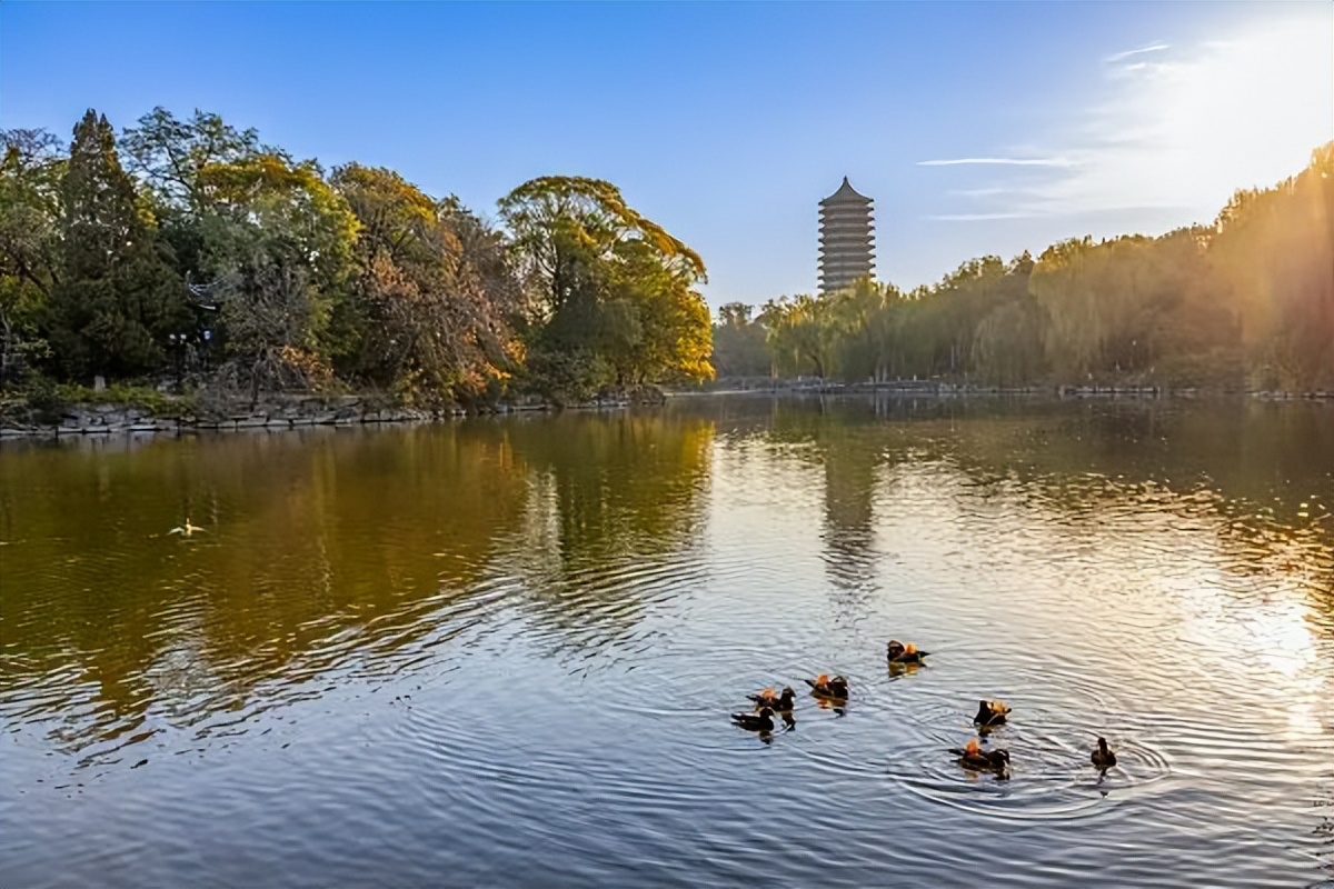 中国最自由的大学,是它。
