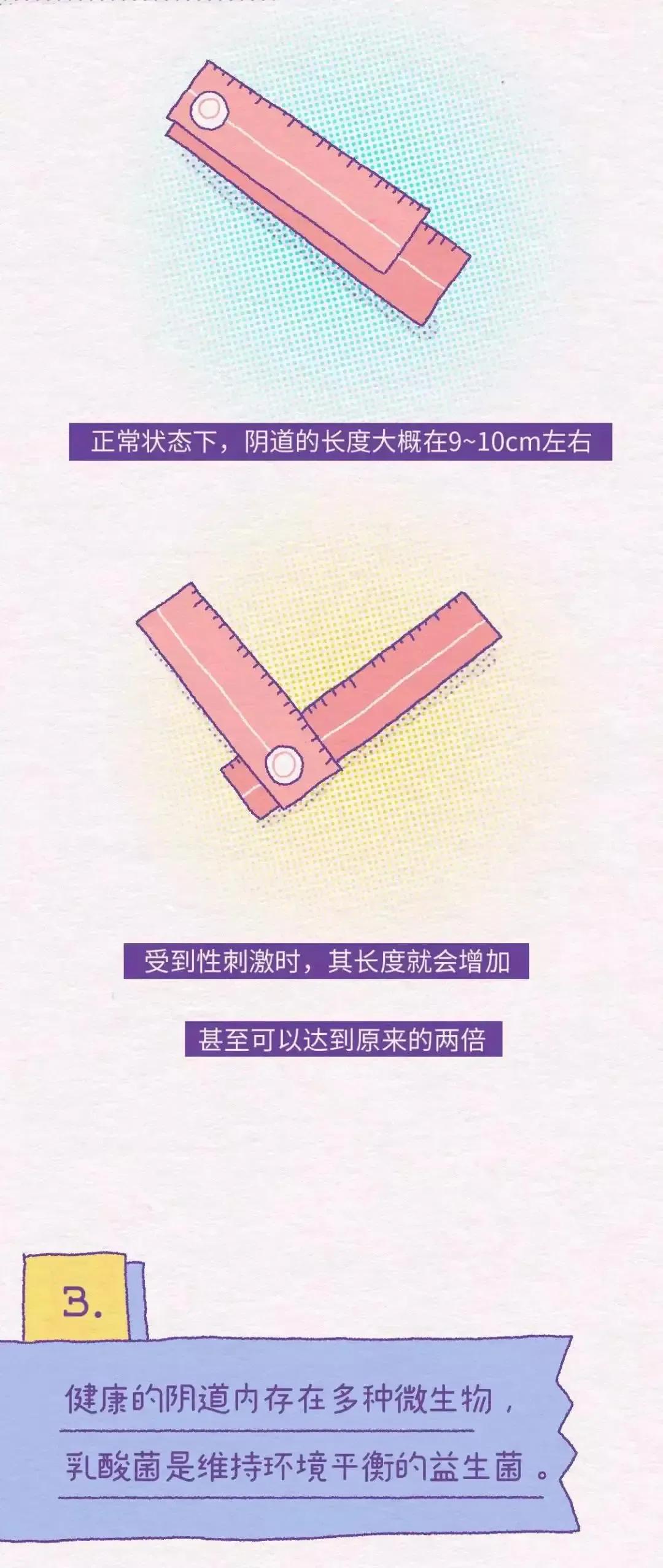 女性的几个阴道小知识，别害羞