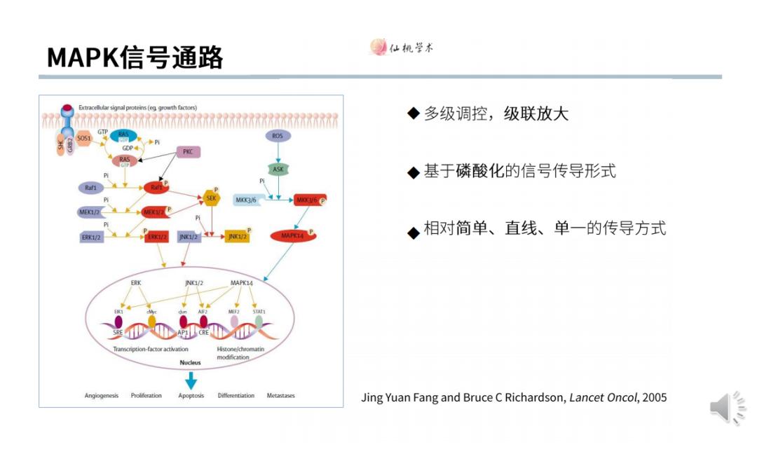 信号通路差异分析,常见的信号通路