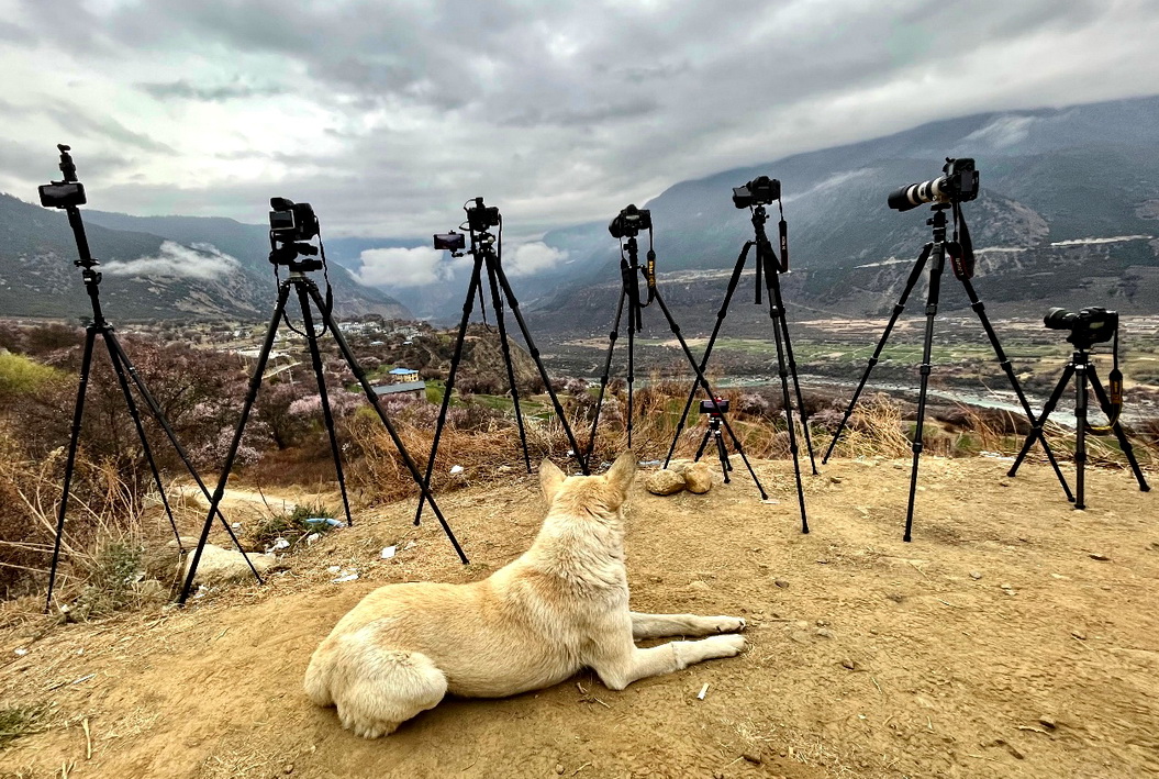 西藏自驾滇藏自由行攻略,又到草原旅游的季节