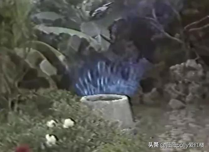 乌鸡国除妖两版对比,86版除妖乌鸡国