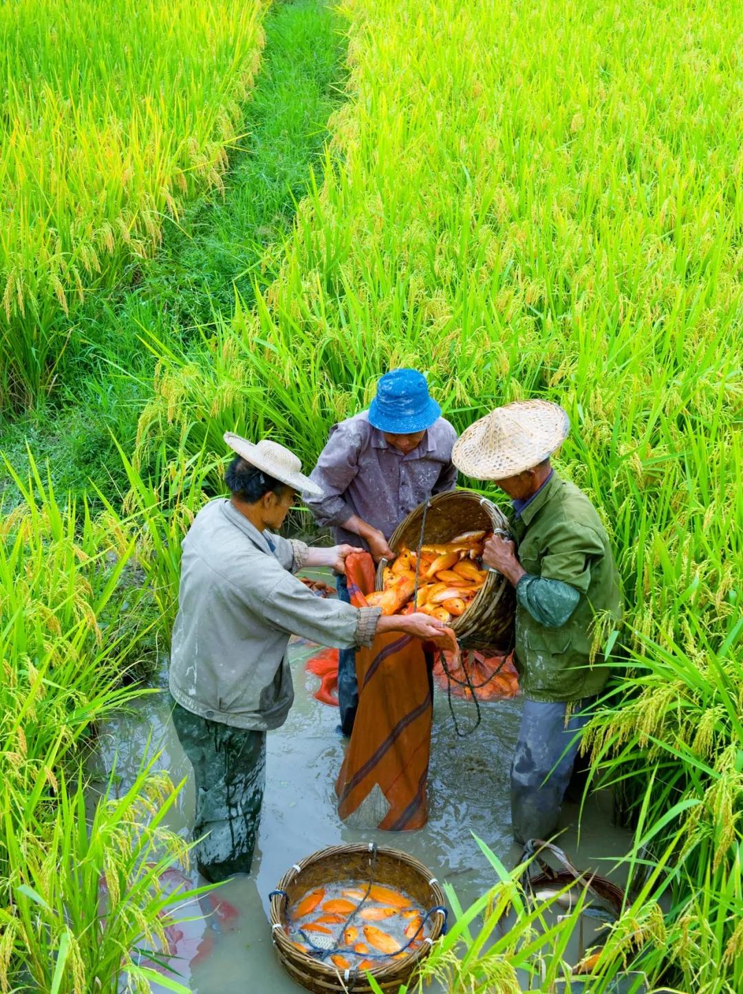 中国唯一用欧元买菜的江南小城,这座城市遍地都是豪车