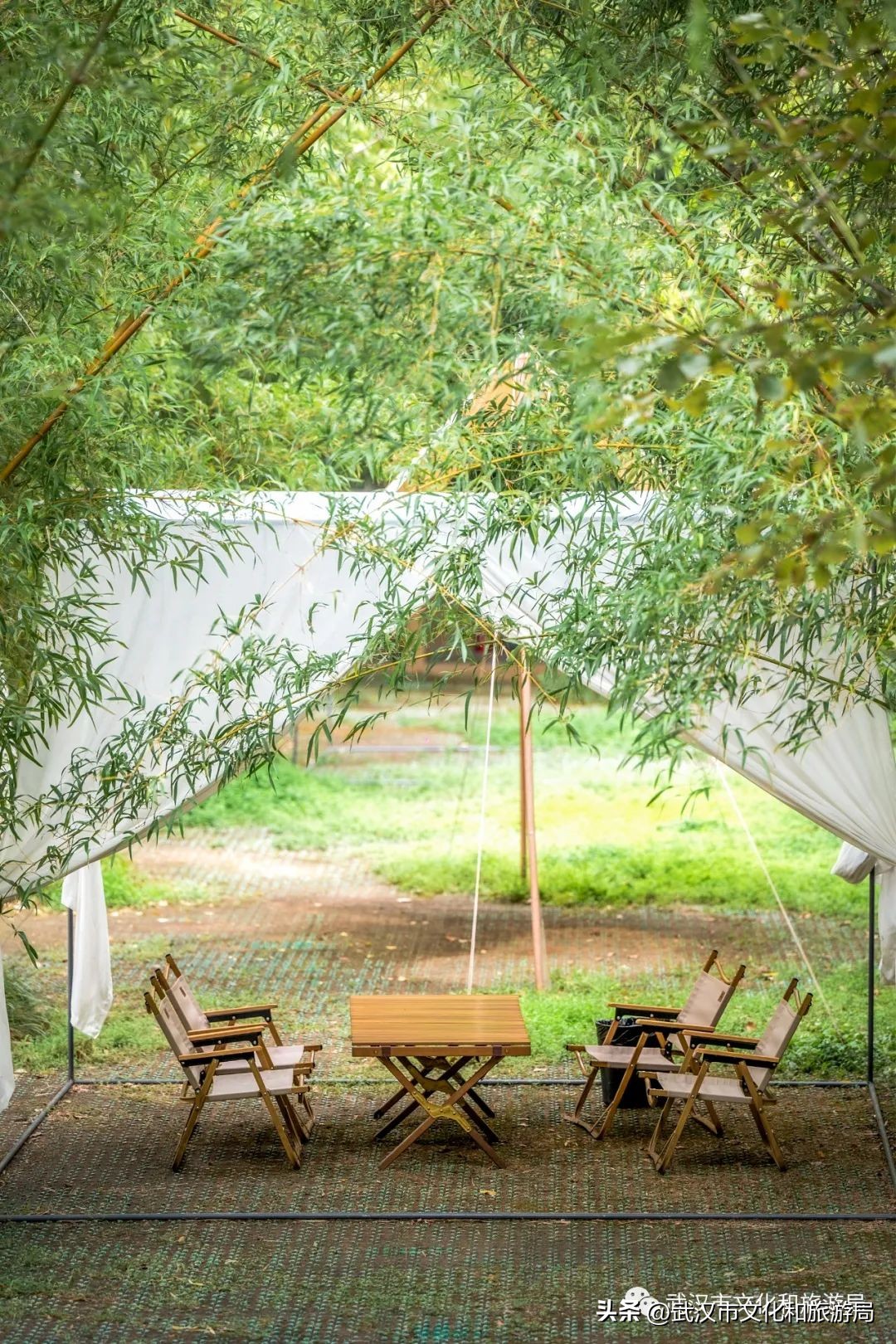 九月，秋风吹进武汉人的小院