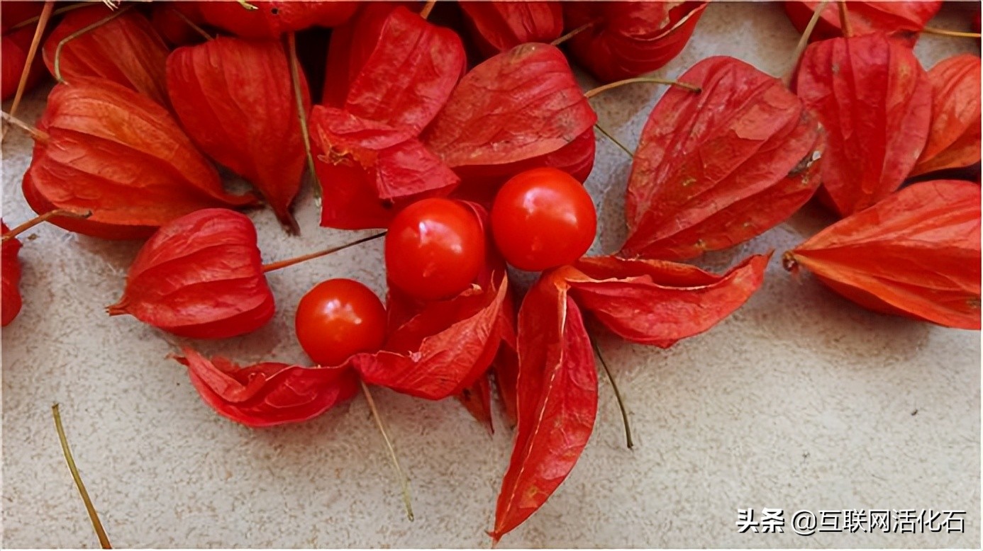 啰里啰嗦互联网周刊第4期：为什么手机不支持通话音量调节
