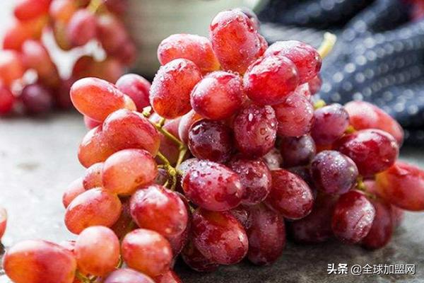 亿果联昆明有加盟店吗,亿果联水果加盟店真实性