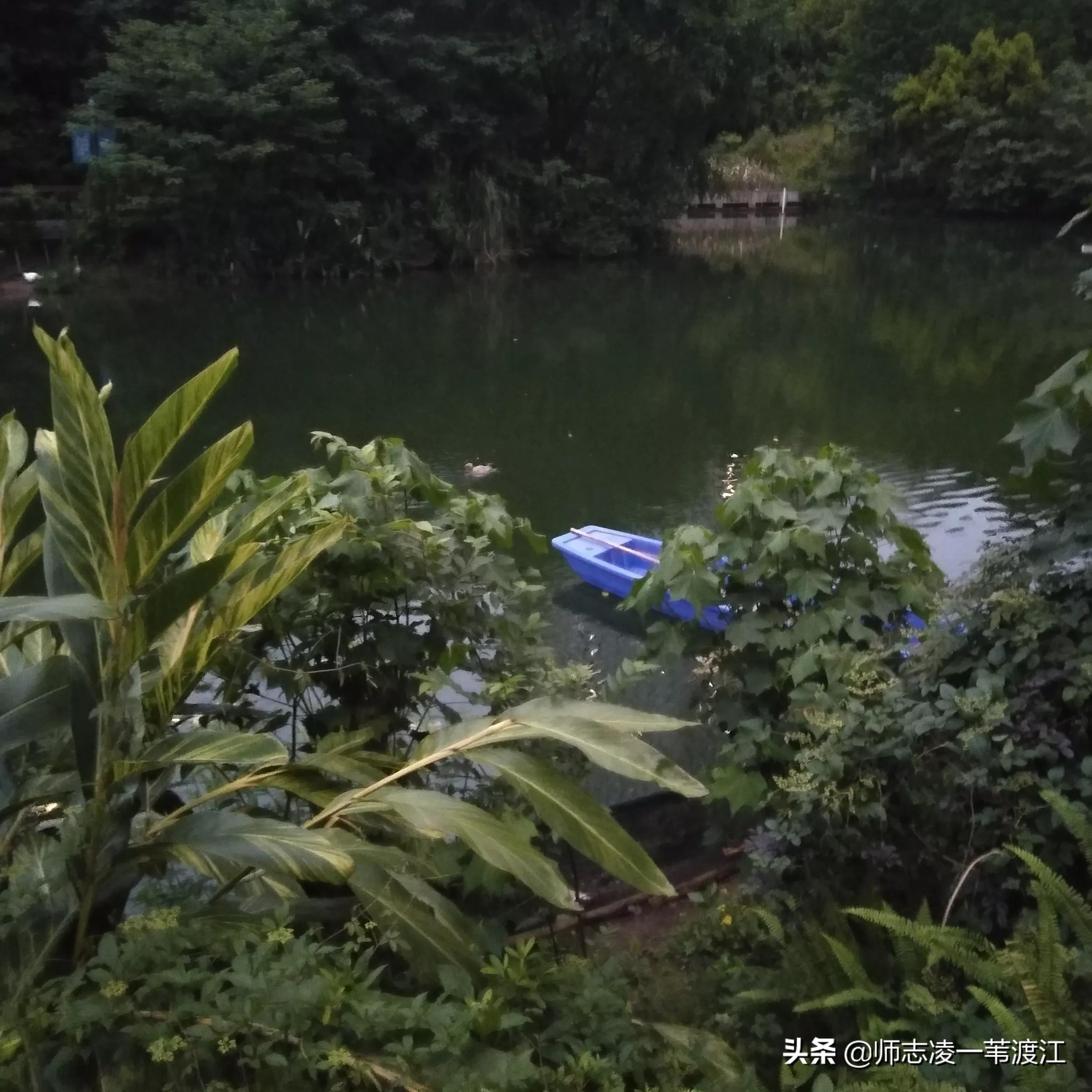 回到重庆的感受,回到重庆的感觉