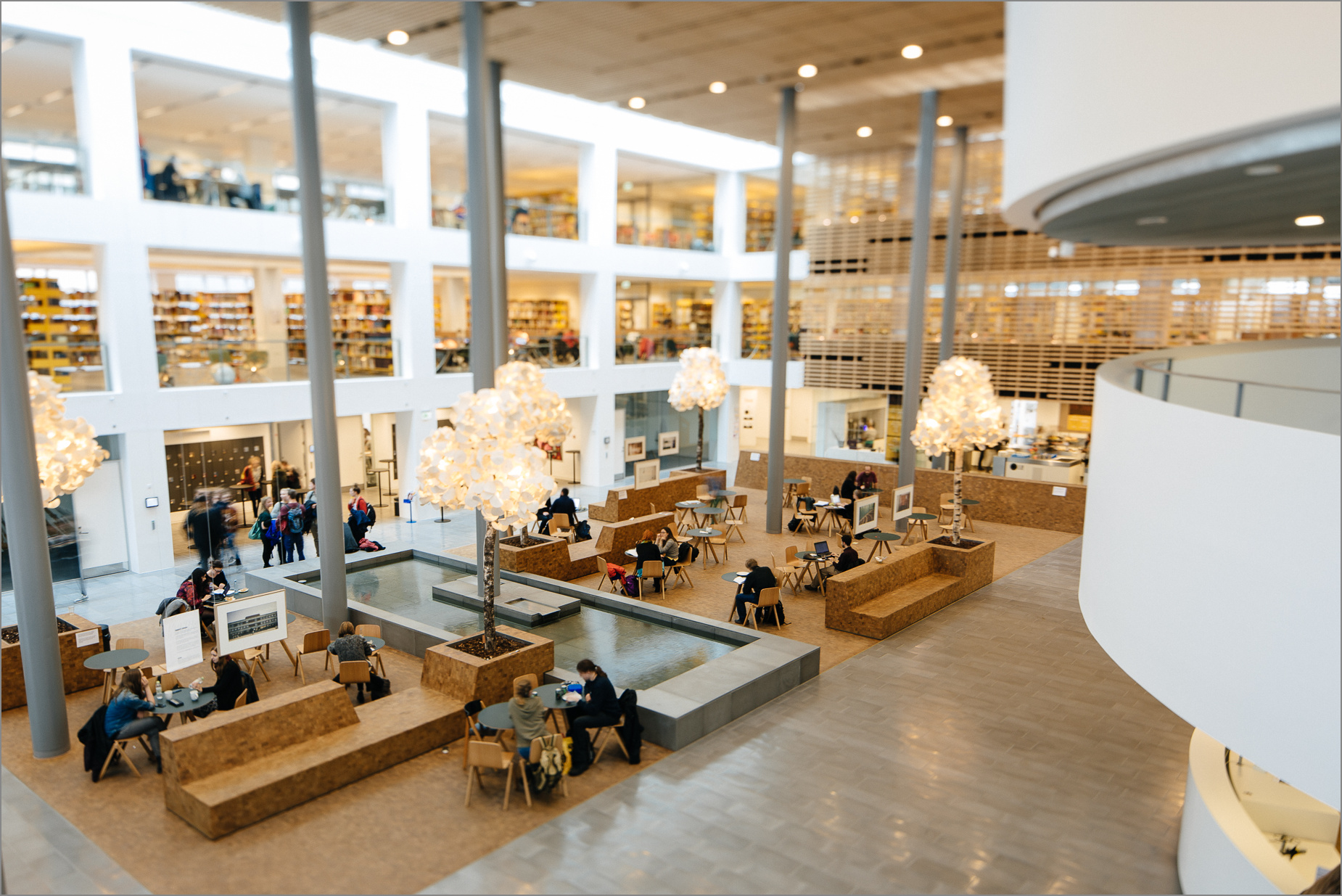 the世界大学排名2023,the世界大学最新排名