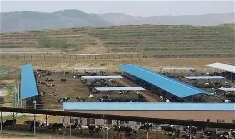 2006年，政府牵头组织租给日方千余亩地，日本人却闲置多年，为何