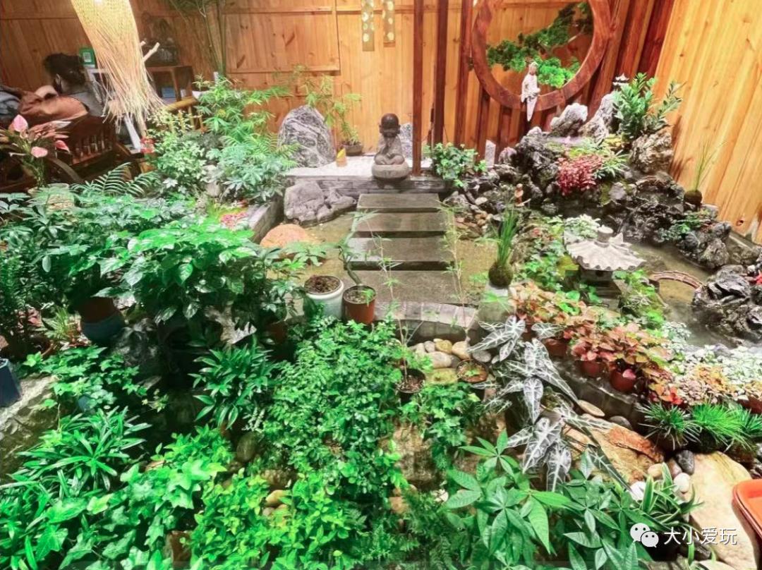 北京最美的花鸟市场,北京值得逛的花鸟市场