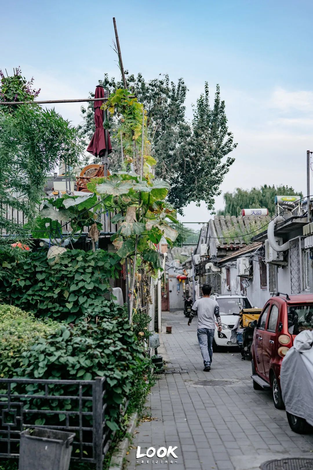 北京什刹海晚上游玩路线,北京什刹海风景秋天攻略
