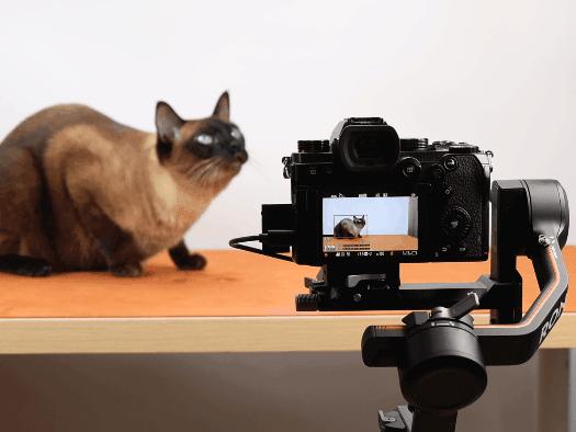 松下s5什么场景选择什么对焦模式,松下s5m2x1080p对焦问题解决了吗