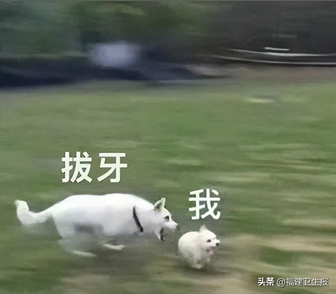 女生拔智齿打麻药,女子拔智齿拔麻药过量神经痛