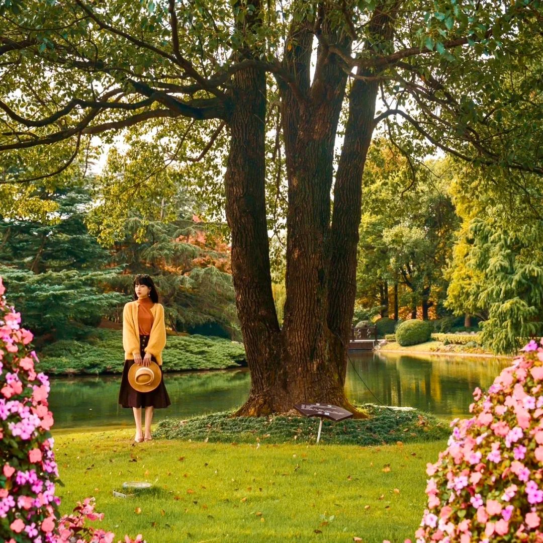 最值得入住的国宾馆推荐,最值得体验的国宾馆