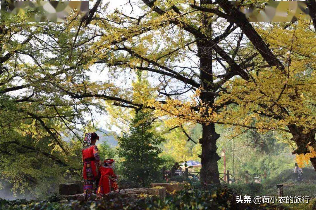 中国唯一既避暑又避寒的地方,中国凉都避暑胜地